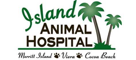 Island animal hospital at viera. Things To Know About Island animal hospital at viera. 